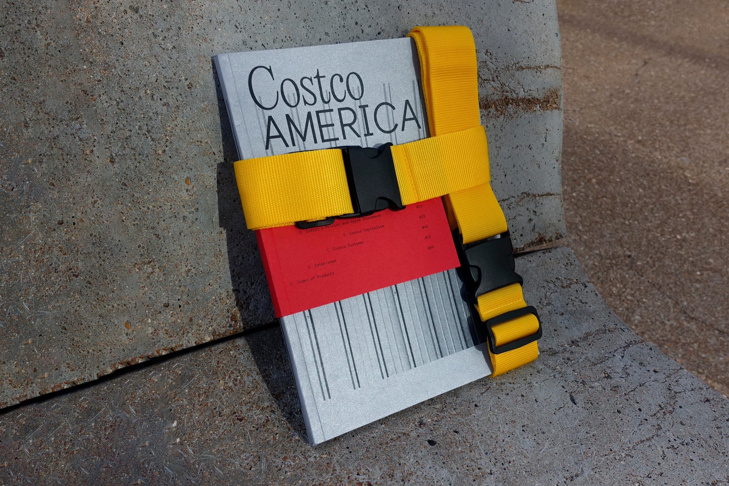 Image for Costco America