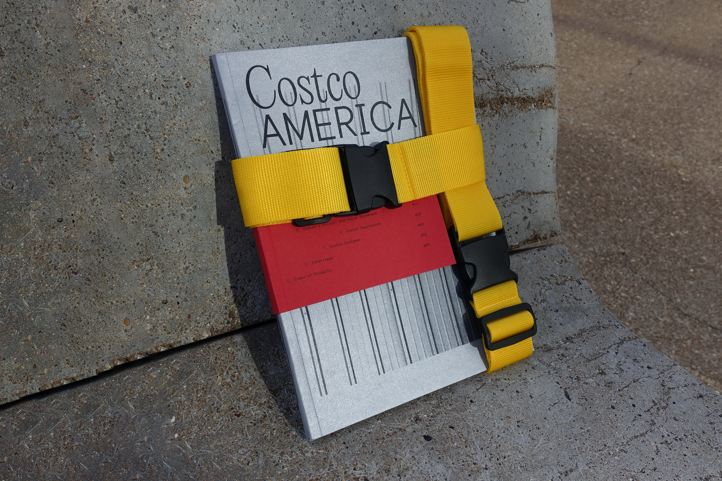 Image for Costco America