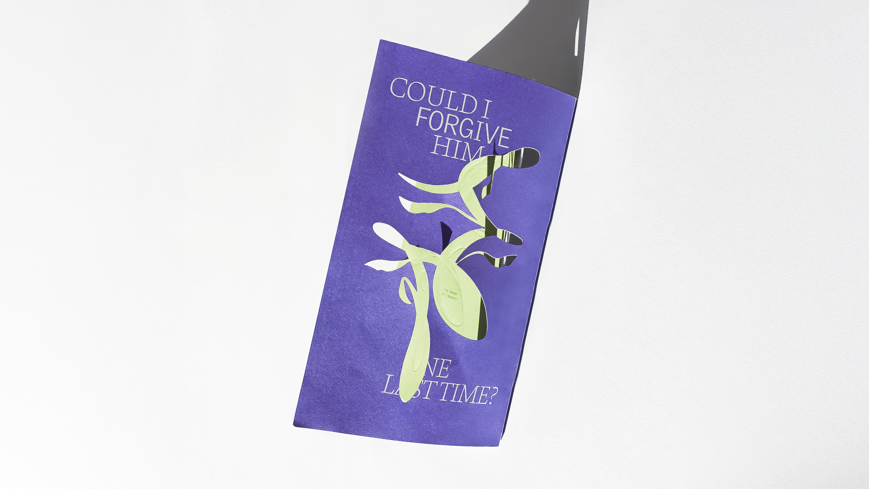 Image for Could I Forgive Him?